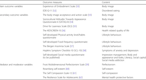 Table 2 Overview of the instruments used to evaluate the efficacy of the HBI programme