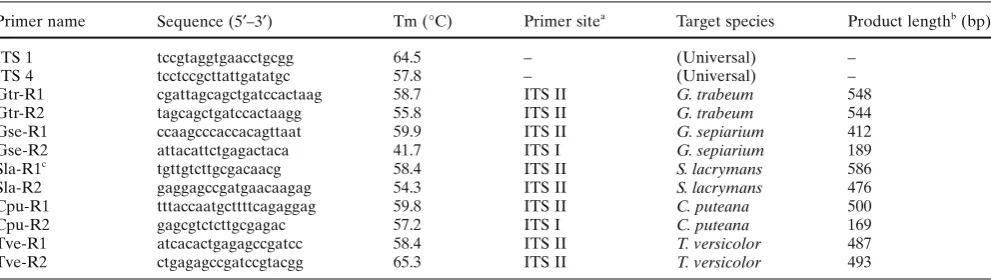 Fig. 1. Schematic diagram of the internal transcribed spacer (region between small subunit (ITS) SSU) rDNA and large subunit (LSU) rDNA, which includes ITS I, ITS II, and 5.8S rDNA