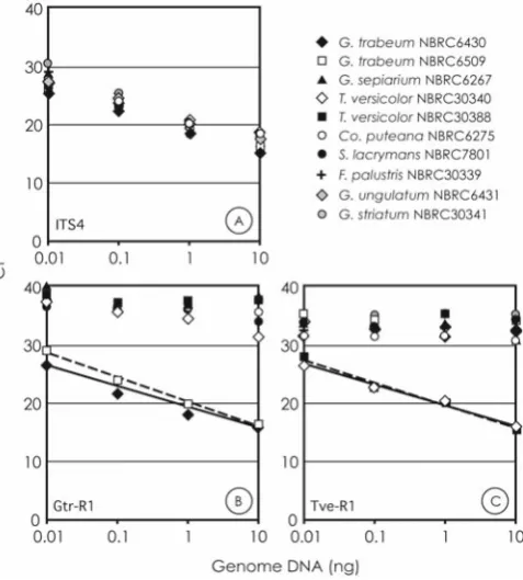 Fig. 3A–C. Standard curves obtained by quantitative polymerase chain reaction (PCR) from tenfold serial diluted DNA of G