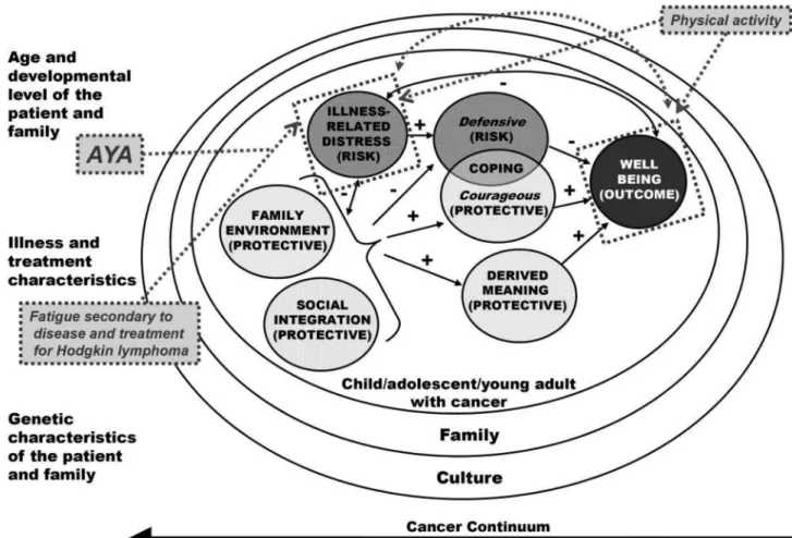 Figure 2. Example of research trainee’s study linkages to the COG Nursing Resarch Organizing Framework