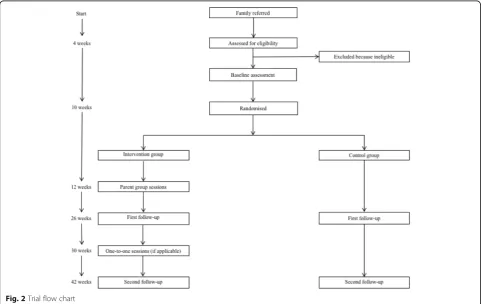 Fig. 2 Trial flow chart
