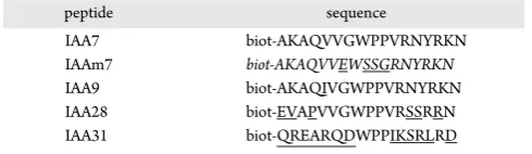 Table 1. Degron Peptide Sequences; Residues varying fromIAA7 are Underscored