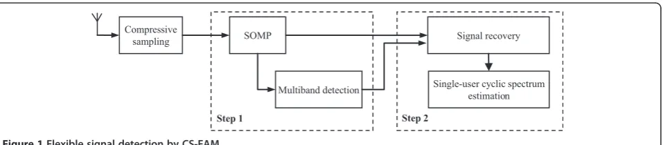 Figure 1 Flexible signal detection by CS-FAM.