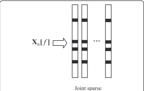 Figure 4 Joint row sparse based on MMV model.