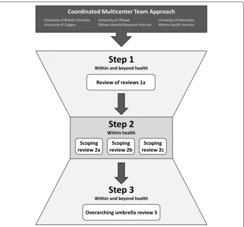 Fig. 1 The three steps of the Coordinated Multicenter Team approach