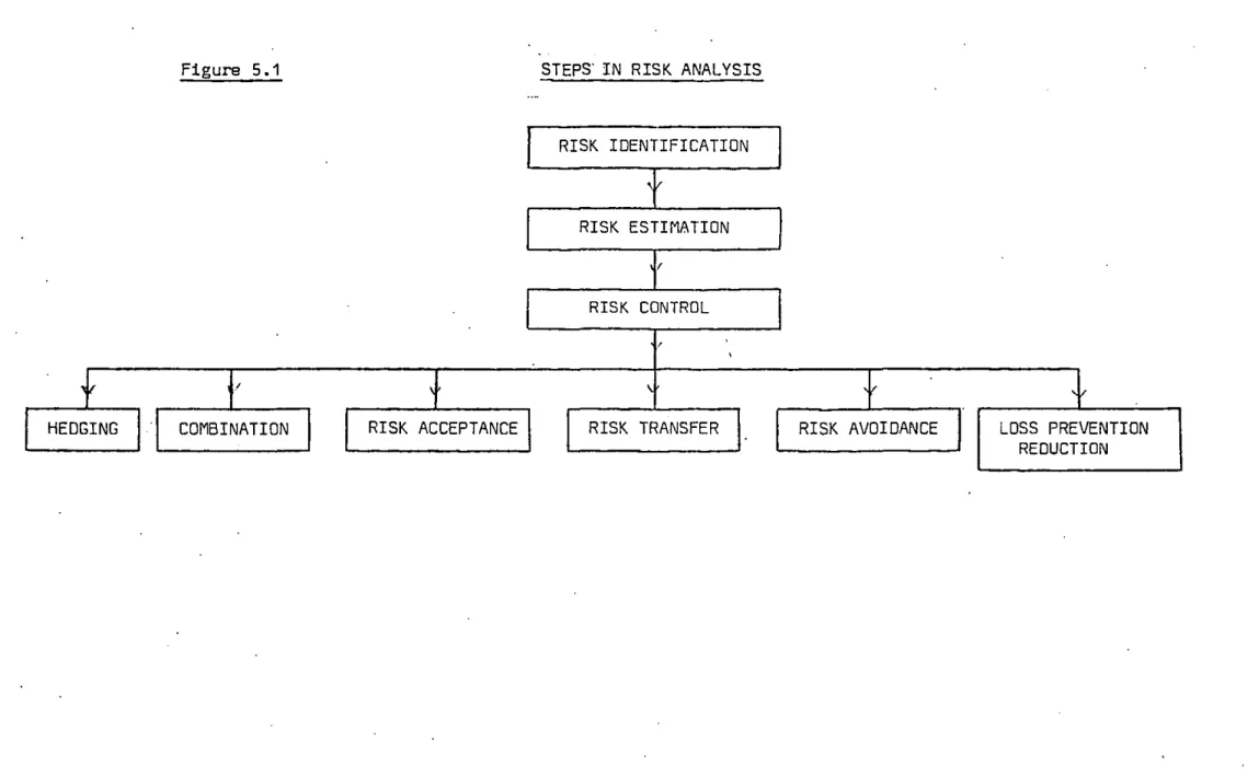 Figure  5.1  STEPS·  IN  RISK  ANALYSIS 