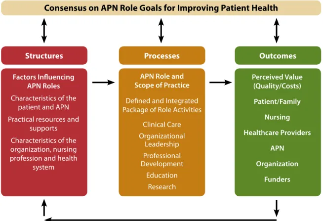 Figure 3  Structures, processes and outcomes in APN role evaluation