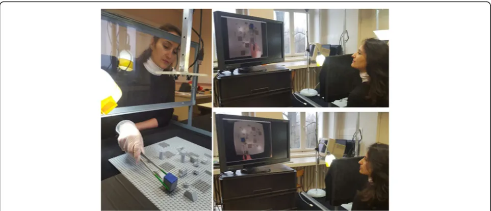 Fig. 1 Snapshot views of the experimental platform showing experimental conditions of direct RAF viewing ((left), 2D corrected screen viewingtop right), and 2D fisheye viewing (bottom right)