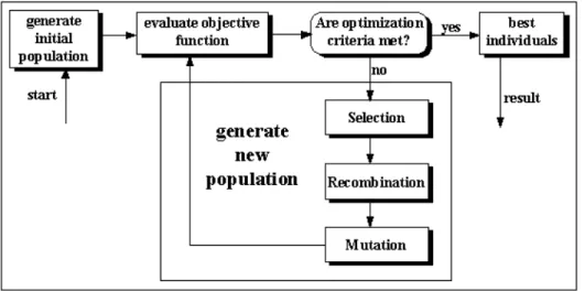 Figure 1. Structure of a simple genetic algorithm (Pohlheim, 2001) 
