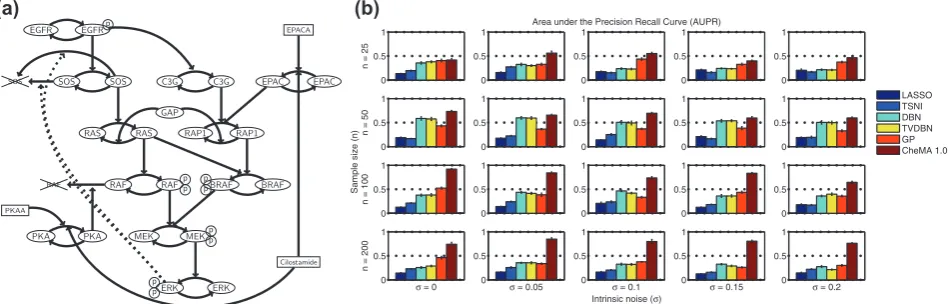 Fig. 2. Network inference, simulation study. (TSNI,CheMA 1.0, based on chemical kinetic models
