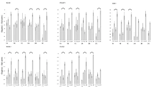 Figure 4. mRNA expression levels for the neural differentiation markers NCAD, POU3F1, SOX1, NKX6.1 and OLIG2 as measured byare marked 0 before differentiation andqPCR
