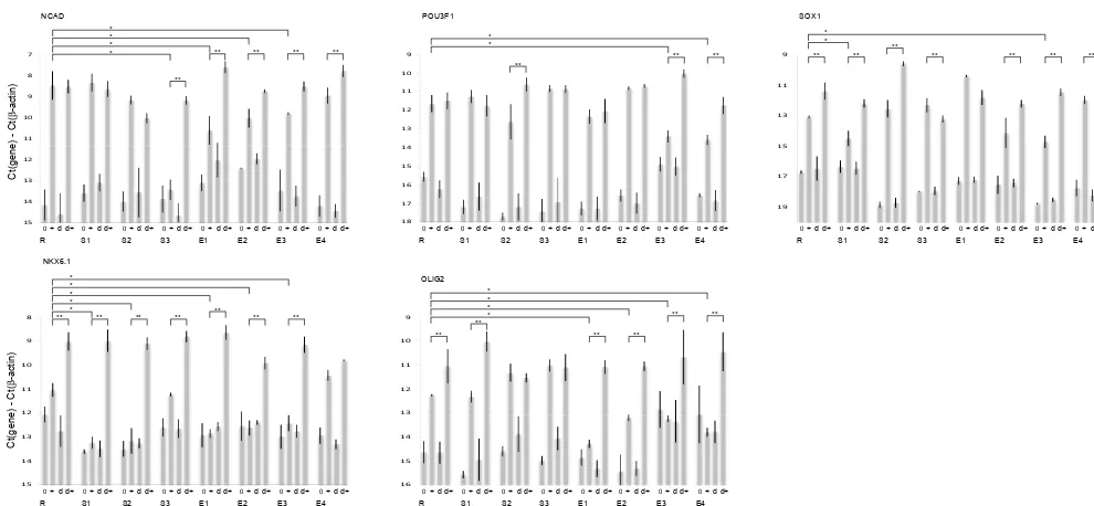Figure 6. mRNA expression levels for the neural differentiation markers NCAD, POU3F1, SOX1, NKX6.1 and OLIG2 as measured bywith 0.5 % DMSO are marked 0 before differentiation andqPCR