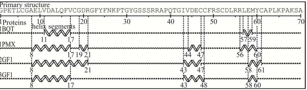 Figure 1. Example of sequence-structure alignment and comparison to select four 70-residue homologous proteins with 100% sequence identity and different helical segments