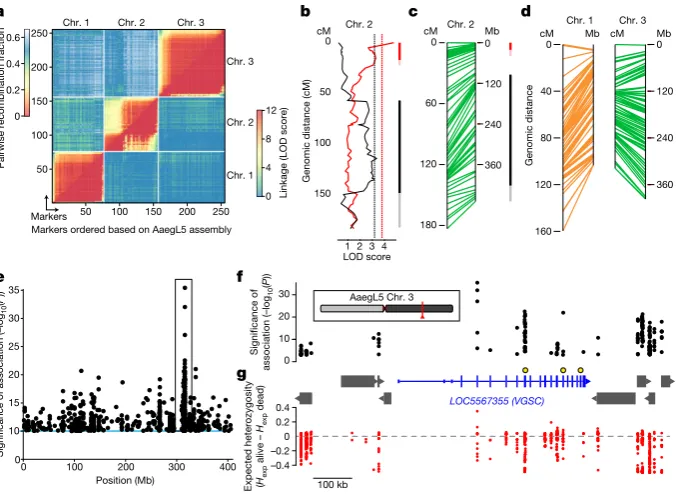 Fig. 5 | cM) and physical map (in Mb) for chromosome 2 (Using the AaegL5 genome for applied population genetics