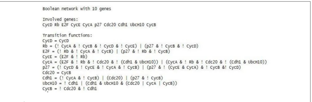 FIGURE 8 | Known mammalian cell cycle networks provided by BoolNet.