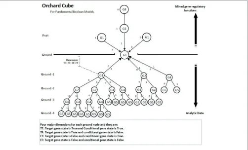 FIGURE 4 | Illustration of an orchard cube.