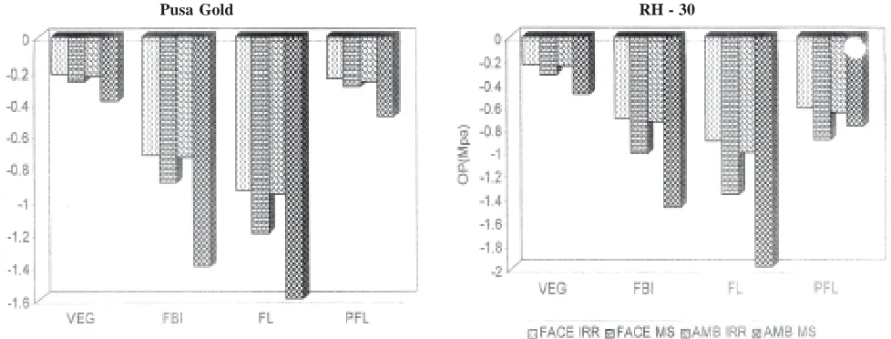 Fig. 1. Interactive effect of elevated CO2  and moisture stress on water potential (MPa) at different stages of growth in Brassica