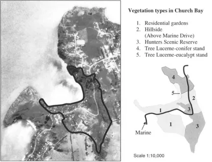 Figure 3.2. The Church Bay study site with the vegetation types. 