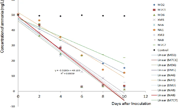 Table 2 In vitro Plant Growth Promoting functional characterization of nine selected isolates 