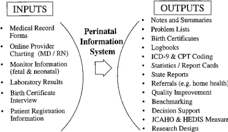 Fig 1. Blueprint for the ideal perinatal information system design.