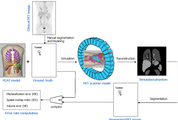 Fig. 5 Principle of simulation-based validation of PET image segmentation techniques showing the 4D NCAT anatomical model representing typical tracer distribution in the body to which a lesion of known characteristics was added