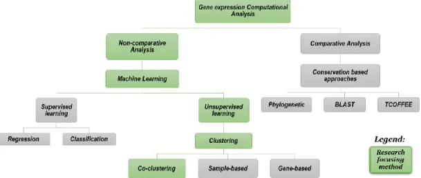 Figure 1. General view on computational analysis category 