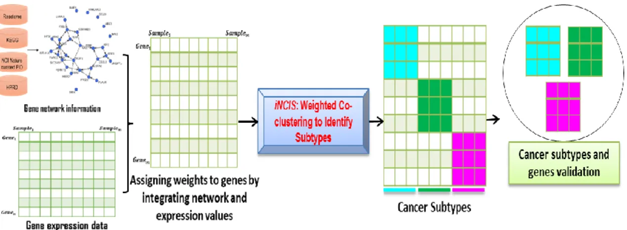 Figure 2. General flow of methodology 