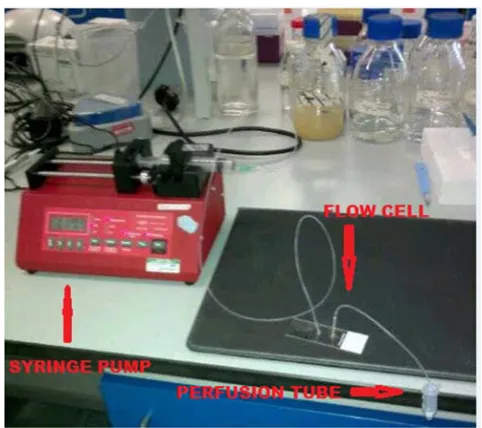 Figure 1. Showing syringe pump, flow cell and perfusion tube set according to protocol, where the syringe dispenses the λDNA in and out of the flow cell to form tightropes