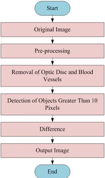 Figure 29. The Input Retinal Image. 