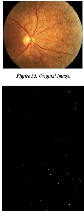 Figure 35. Original Image. 