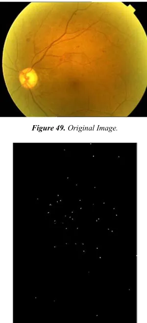 Figure 49. Original Image. 