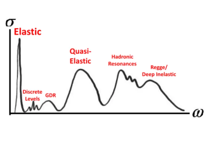 FIG. 8: Idealized structure of virtual photoabsorption on a nucleus.