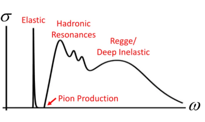 FIG. 4: Idealized structure of virtual photoabsorption on the nucleon.
