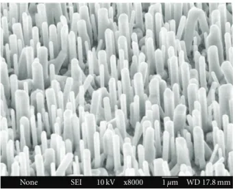 Figure 4 show that the resulting heterojunction exhibited good rectifying I-V characteristics