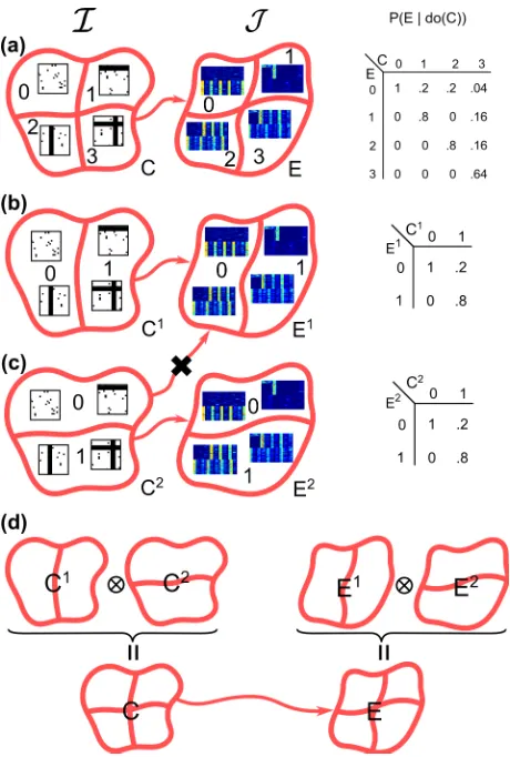 Figure 3.4: Subsidiary Causal Variablesample.. (a) The unsupervised cause and effect of our neuroscience ex- (b) The subsidiary cause C1, “presence of an h-bar”