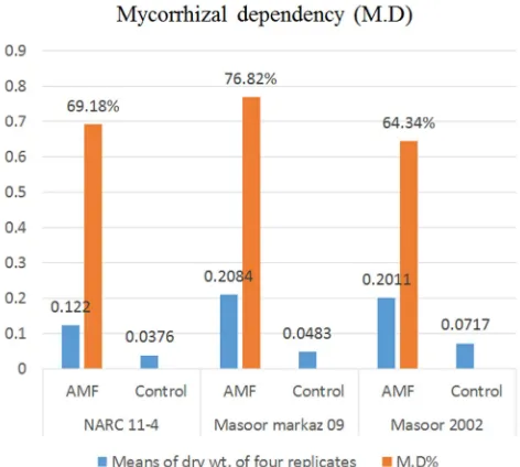 Figure 8. Mycorrhizal dependency index (M.D). 