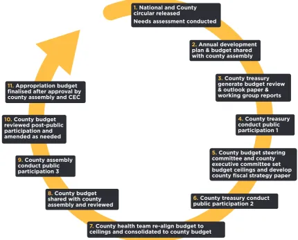 Figure 2. County level annual planning and budgeting cycle