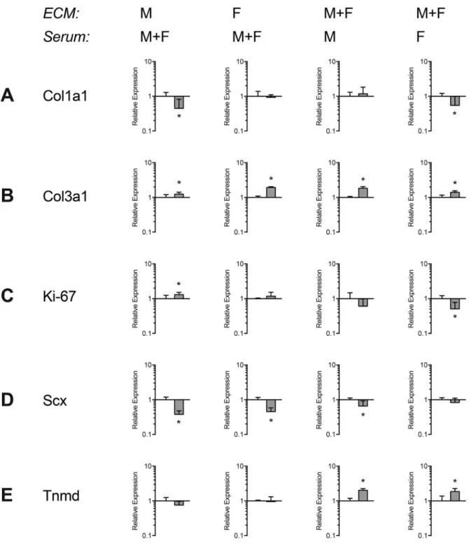 Figure 5. Sex-specific extracellular matrix and serum effects on male and female fibroblast gene expression