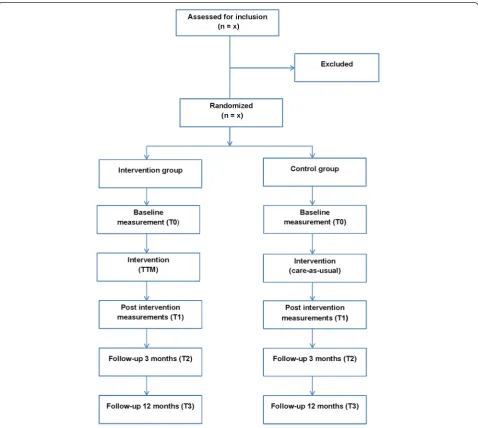 Fig. 1 Overview of study procedure