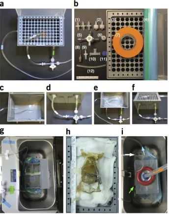 Figure 2.1. Assembling and working with the PARS chamber. (a) A completed PARS 