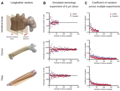 FIGURE 3 