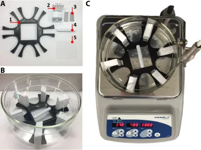 Fig. S3. Bone CLARITY setup. (A) The individual parts of the setup, which is composed 
