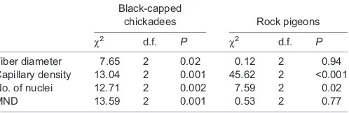 Table 3. Kruskal–black-capped chickadees and rock pigeons in relation to heatWallis χ2 tests examining muscle histology ofshock treatment