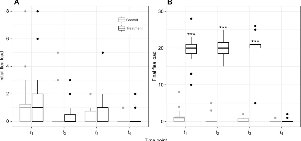 Fig. 1. Flea infestation in Columbian ground squirrels between April and August 2018. (A) Initial and (B) final flea numbers