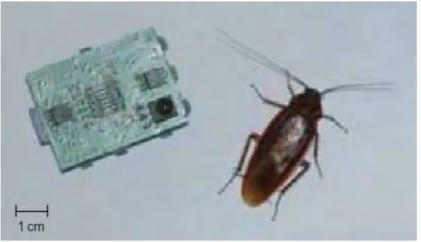 Figure 1. InsBot (adapted from [9]) 
