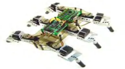 Figure 2. Prototype of the LIPCA robot (adapted from [10]) 