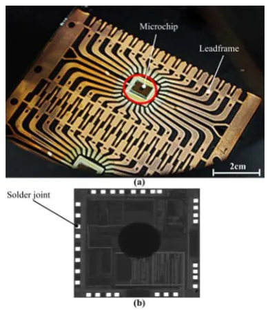 Fig. 3.  The micro chip: (a) the micro chip attached to the leadframe, and (b) the image  of a micro chip taken by CCD