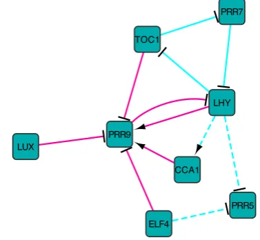 Fig. 5. Inferredandlatest experimental data and model (Pokhilko et al., 2013), while the dashedlines indicate predictions that are not thus far supported by current literature