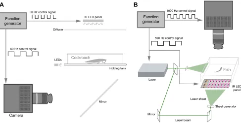 Fig. 1. Two experimental setups that use MSV. (A) Experiment on a cockroach using two channels of kinematics