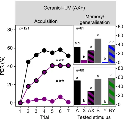 Fig. 2. Acquisition trials and memory/generalisation tests in positive patterning experiments including blue and green as element of the trainedcompound.single elements geraniol (black), blue (blue) and green (green) were not rewarded